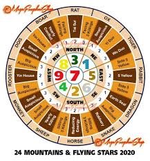 Feng Shui Horoscope Forecast 2020 For Snake