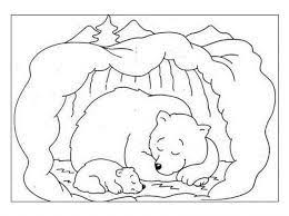 Risultati Immagini Per Animali Letargo Bear Coloring Pages Animal Coloring Pages Hibernating Bear Craft