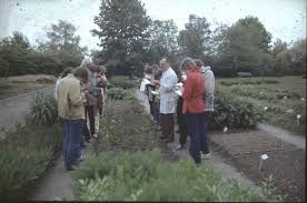 Wer Erkennt Sich Hier Botanischer Garten Oberholz Webseite