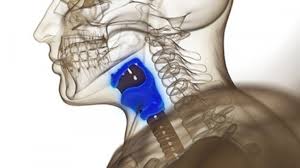 While hpv is most commonly associated with. Artificial Larynx Implant Helps Throat Cancer Patient Breathe And Speak Ctv News