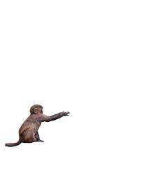Monkey Png Photo 1263 Cb Editz Free Cb Background Png Download Png Photo Background Wallpaper For Photoshop Photoshop Backgrounds