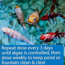 Instafix | Pond Algae Control Treatments | The Pond Guy