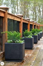 Planting Container Evergreens 2019 In 2020 Mit Bildern Terrassenpflanzen Hinterhof Garten Terrassen Deko