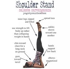 Pin On Exercise And Movement