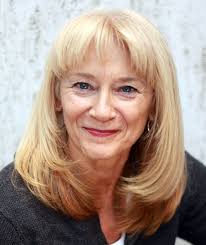 Panning the Plaza planCriticando el plan Plaza