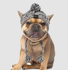 Winter Warm Pet Dog Hat Windproof Fluffy Ball Hat For French Bulldog Accessory Unbranded Dog Hat French Bulldog Bulldog