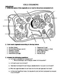 Biologycorner.com animal cell coloring answer key : Plant Cell Coloring Worksheets Teaching Resources Tpt