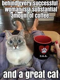 No Truer Words Were Ever Spoken Catquotes Cat Meme Funny Quote Cats Crazy Cats Cat Memes