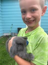 Outdoor pig pen bedding options for potty training