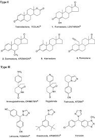 30 tabs/pack ( 25 mg/tab ) drug class: Exemestane A New Steroidal Aromatase Inhibitor Of Clinical Relevance Sciencedirect