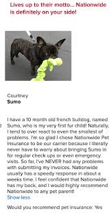 Check spelling or type a new query. Nationwide Pet Insurance 2021 Compare Quotes