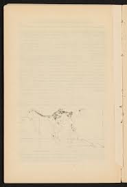 Image result for Achyrospermum micranthum