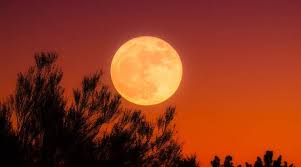 Translation of moon tonight in russian. Full Moon September 2019 Date And Time In India Timings When Is The Harvest Moon In September 2019 What Does It Mean
