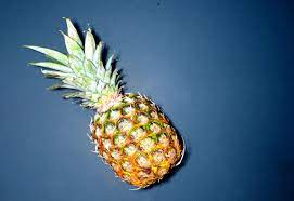 Untuk memproduksi atau cara membuat keripik nanas, proses pertama adalah mengupas secara manual dan menghilangkan mata nanas. Fakta Nenas 10 Manfaat Khasiat Menarik Yang Mengujakan Bidadari My