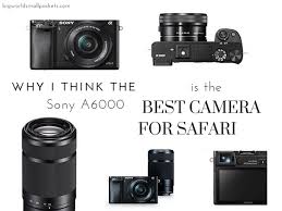 It is currently available as a kit for us$598 current prices. Why The Sony A6000 Is The Best Camera For Safari Big World Small Pockets
