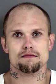 POLICE REPORTS: Officers reportedly find 20 grams of meth in yard where man  fled