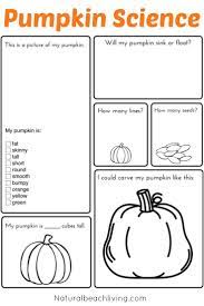Pumpkin Activities For Kids Pumpkin Lesson Plans Stem Natural Beach Living Pumpkin Lessons Pumpkin Lesson Plans Fall Science