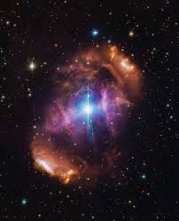 Image result for Searsia nebulosa