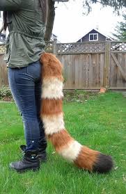 Red Panda Floor Dragging Costume Tail By Shagpokestudios On Etsy Perf Weight Width Fur Length Red Panda Panda Costumes
