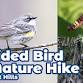 Guided Bird & Nature Hike at Short Hills: June 2026