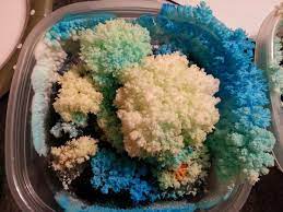It's really so fascinating to watch these grow! How To Make A Crystal Garden For A Science Project Wehavekids