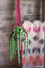 It is known by various names such as rosary plant, string of beads, bead plant, string of peas, string of marbles, necklace plant, roasary vine. Paper Mache String Of Pearls Plant Lia Griffith