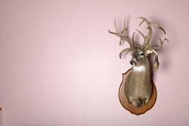 Check spelling or type a new query. The Worst Home Decorating Trend The Year You Were Born Best Life