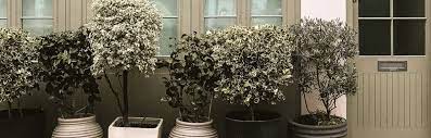 Look for planters that have a large drain hole in the. 40 Large Planters For Trees And Flowers Insteading
