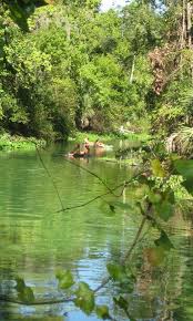 Rock springs run via kelly park is a tradition locals and tourists alike enjoy. Kelly Park Rock Springs Beautiful Park Cool Swimming Hole Shaded Campground