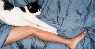 I have a rabbit so :p. The Science Backed Benefits Of Being A Cat Lover