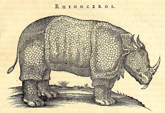 Chapter 11 The Rhinoceros in the Arts and Sciences of the Mughal Period in: The Rhinoceros of South Asia