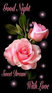 Good Night My Beautiful Sweetheart I Am Missing You Can You Tell I Love You So Very Much L Good Night Flowers Good Night Sweet Dreams Good Night Messages