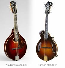 Search for mandolin in these categories. Why Do The Mandolin And The Violin Go So Well Together 3dvarius