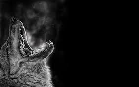 Wolf Pack Wallpapers Group 84 Main page abstarct animal anime artistic cgi cartoon celebrity comics dark earth fantasy food humor game holiday. wolf pack wallpapers group 84