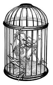 They seemed pretty domestic, even friendly. 5 Legger Harry Potter Wiki Fandom