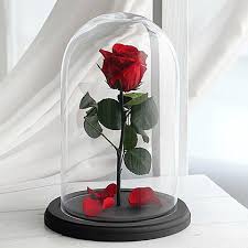 Jacobs, whose previous books have dealt with herbs, divides her latest into three sections. Love Last Forever