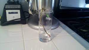 It's not that hard, just a few tricks to help. Rooting In Water Life With Kali