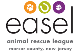 We did not find results for: Easel Animal Rescue League Pet Adoptions