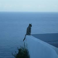 Lo scrittore esperto di calcio inglese, christian la fauci, 46 anni, e' morto nella sua abitazione di marassi, a genova. Nunzio La Fauci Universita Degli Studi Di Palermo Academia Edu