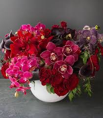 Maybe you would like to learn more about one of these? Valentine S Day Raspberry Phalaenopsis Orchids Vanda Deep Red Roses Amaryllis Black Calla Lilies Same Day Flower Delivery Flower Delivery Winston Flowers