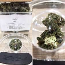 4881 topanga canyon blvd ste 100. Malibucc