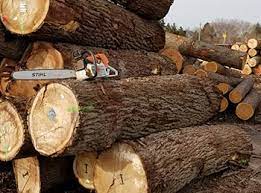 Posted on february 8, 2017 by. Walnut Logs Veneer Saw Grades Porter Lumber