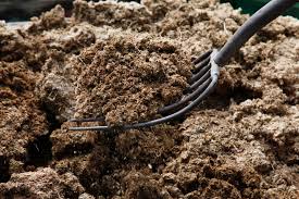 Maybe you would like to learn more about one of these? Should You Add Manure To Improve Garden Soil