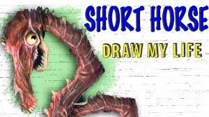 Short Horse | Meat Horse : Draw My Life - YouTube
