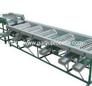 Automatic Garlic Sorting Grading Machine