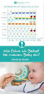 Weitere ideen zu rund um's baby, babys und schwangerschaft, baby erziehung. Beikost Einfuhren Beikost Baby Beikost Babynahrung