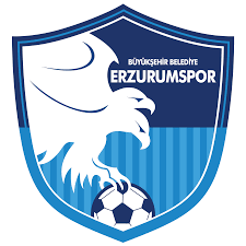 Dream league soccer brazil national football team fifa world cup logo, brazil, cbf logo on blue background, sport, jersey, football team png. Turkish Super League Football Logos