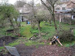 Wie Der Garten Zum Parkplatz Wird 1 Das Wilde Gartenblog