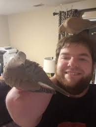 🎂 A very Happy Birthday to Ryan Fulton! Never miss an occasion with London  North Eastern Railway 🚆