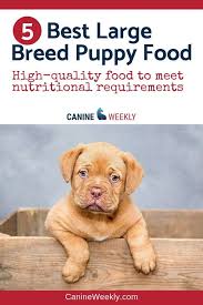 Pin On Canine Weekly